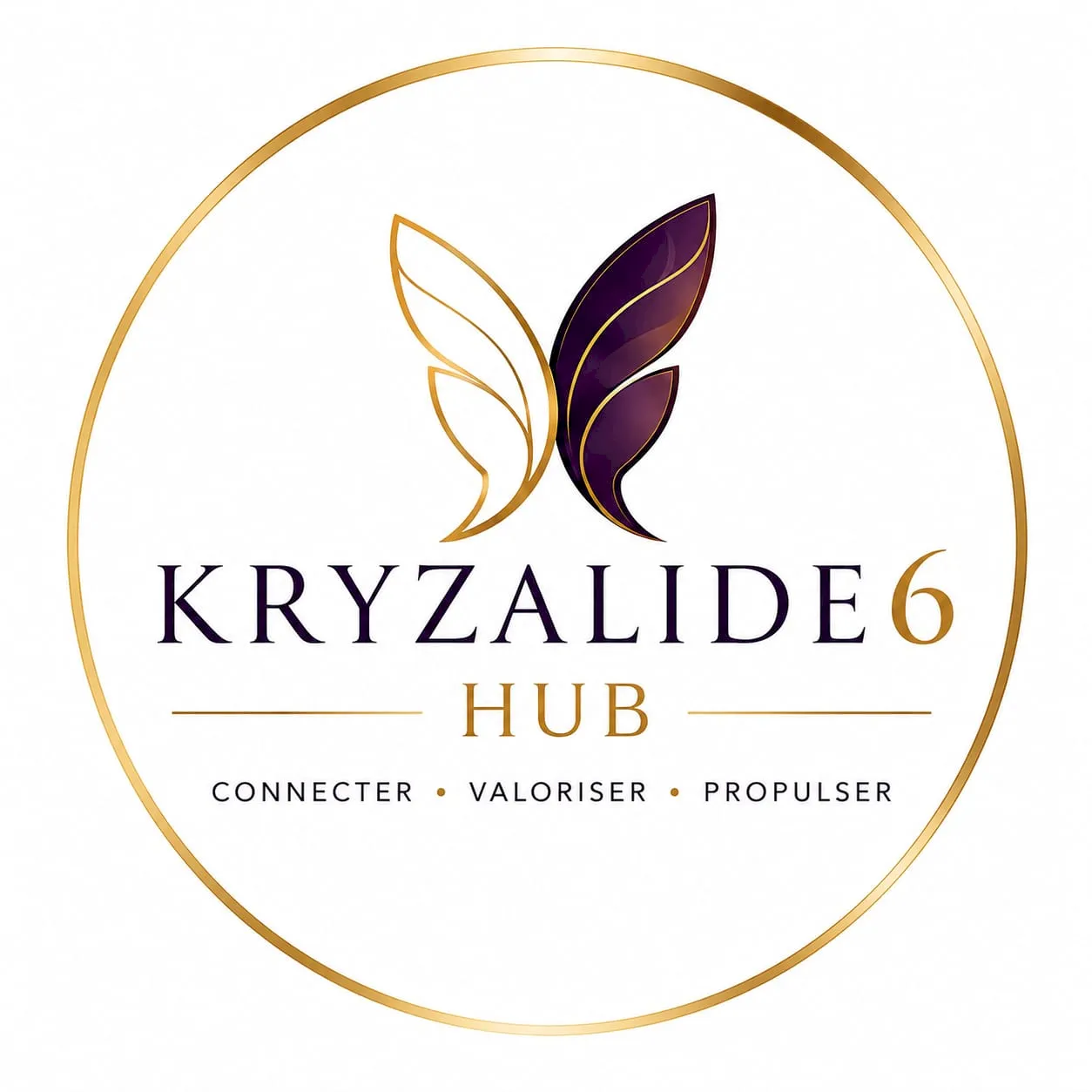 Image nouveau Logo Kryzalide6 HUB